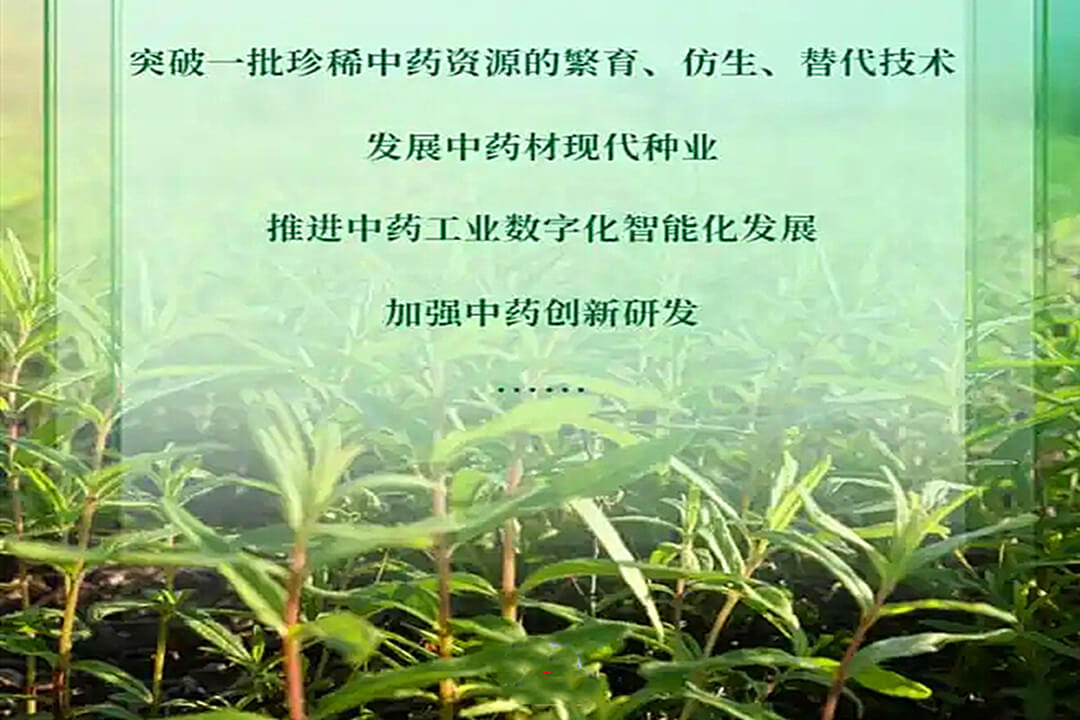 国务院办公厅印发《关于提升中药质量促进中医药产业高质量发展的意见》